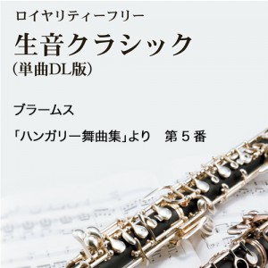 ブラームス：｢ハンガリー舞曲集｣より　第5番